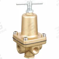 APPROVED VENDOR Pressure Regulator: FNPT x FNPT, 1/4 in Pipe Size, Brass, 1 psi to 25 psi, NPT x NPT (MPN 30PV03). Key specifications — Brand: APPROVED VENDOR.