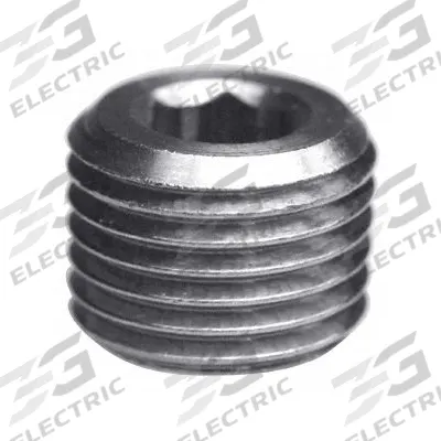 LEGRIS Plug: Hex Drive Cored Plug, 3/8 in, BSPT Threaded, Nickel-Plated Brass - Threaded Medium-Pressure Pipe Fittings