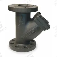 MUELLER STEAM SPECIALTY Y Strainer: 2 in, Flanged, Perforated, 0.062 in Screen Size, Cast Iron (MPN 2 77F-DI-125). Key specifications — Brand: MUELLER STEAM SPECIALTY; Seal Material: Graphite; Manufacturer Part Number: 2 77F-DI-125; Screen Material: 304 Stainless Steel.