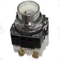 EATON Extended Push Button: 30 mm, Non-Metallic, Momentary, Transformer, Incandescent (MPN E34XB240L). Key specifications — Action: Momentary; Brand: EATON; Series: E34; Push Button Material Type: Non-Metallic.
