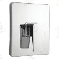 SPEAKMAN Shower Valve and Trim: Compatible Product Type Kubos Shower Faucet Valves, Plastic (MPN SM-24000-P). Key specifications — Compatible Product Type: Kubos Shower Faucet Valves; Brand: SPEAKMAN; Trim Plate Material: Plastic; Product Type: Shower Valve Trim; Trim Plate Shape: Square; Handle Material: Zinc; Trim Finish/Color: Chrome.