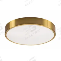 LED Flush Mount: 19 in Dia, Satin Brass, 3 in Ht, 3,200 lm, 3000K/3500K/4000K, 46 W, 120V AC (MPN OTVF1932LAJD1SB). Key specifications — Voltage: 120V AC; Brand: AFX INC.; For Bulb Type: Integrated LED; Includes Bulb: Yes; Color Temperature: 4000K; Housing Finish/Color (Broad): Satin Brass.
