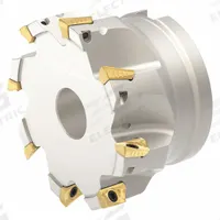 WALTER Indexable Face Mill: F4042.B27.080.Z08.11 (MPN 6078051). Key specifications — attr257066: F4042.B27.080.Z08.11.