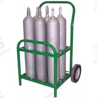 SAFTCART Medical Cylinder Cart: 250 lb, 6 Cylinder Capacity, 4 1/2 in Max. Tank Dia., Raised (MPN MDE-6). Key specifications — Brand: SAFTCART; Caster/Wheel Configuration: (2) Axle-Mounted.