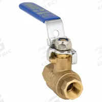 APPROVED VENDOR Manual Two-Way Ball Valve: 1/4 in, Straight, FNPT x FNPT, Full Port Ball Port, Lever (MPN 32H969). Key specifications — Brand: APPROVED VENDOR; Handle: Locking Lever.