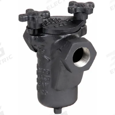 MUELLER STEAM SPECIALTY Basket Strainer: Cast Iron, 0.062 in Screen Size, Single, NPT - Cast Iron Basket Strainers