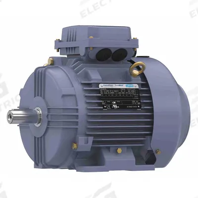 MARATHON MOTORS Metric Motor: 5 1/2 hp, Rigid Base Mount, 112M Frame Size, 575V AC - Rigid Base 3-Phase IEC Metric General Purpose AC Motors