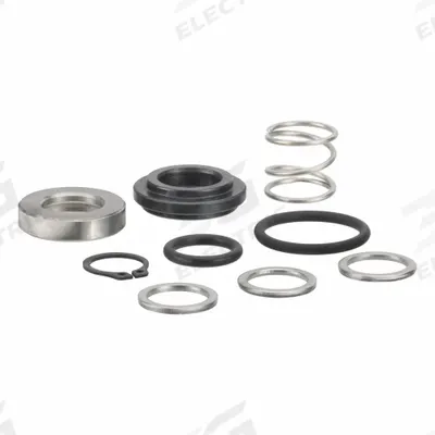FILL-RITE Shaft Seal Kit: Shaft Seal Kit - Seals & Gaskets for Fuel & DEF Transfer Pumps