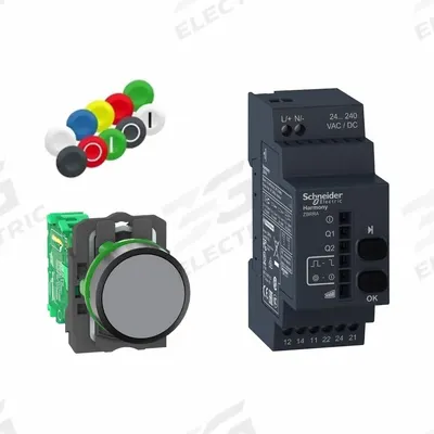 SCHNEIDER Wireless Push Button Kit: 22 mm Panel Mounting Size - Non-Illuminated Push-Button Transmitter & Receiver Kits