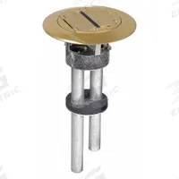 HUBBELL WIRING DEVICE-KELLEMS Fire Rated Poke Through: Round, (2) 1 in For Conduit Sizes, Brass (MPN S1PTBRS). Key specifications — Cover Color: Brass; For Conduit Sizes: (2) 1 in; Brand: HUBBELL WIRING DEVICE-KELLEMS; Includes Cover: Cover Included.