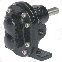 DAYTON Rotary Gear Pump Head: Magnetic Drive, Cast Iron Body, 1/4" FNPT, 4.8 gpm, Pedestal (MPN 4KHJ5). Key specifications — Brand: DAYTON; Ports: 1/4" FNPT; Includes Relief Valve: No.