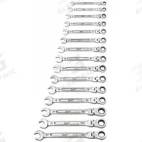 MILWAUKEE Combination Wrench Set: Steel, Chrome Vanadium, 15 Tools, Flex, Tray (MPN 48-22-9513). Key specifications — attr309581: Chrome Vanadium; attr309580: Steel; attr309571: No; attr309583: No; attr309587: Yes; attr324931: MILWAUKEE; attr309569: 8 mm to 22 mm; attr309572: Tray.