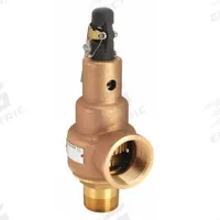 KUNKLE VALVE Safety Relief Valve: MNPT x FNPT, 1 1/2 in x 2 in, 264 psi Max. Op Pressure, Bronze (MPN 6010HGM01AAM0150). Key specifications — Brand: KUNKLE VALVE.