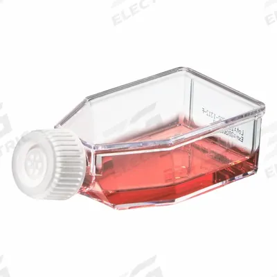 APPROVED VENDOR Plastic Flasks: Cell Culture, Polystyrene, 50 mL, 1.69 fl oz - Plastic Cell Culture Flasks