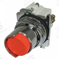 EATON Extended Push Button: 30 mm, Non-Metallic, Momentary (MPN 10250T519). Key specifications — Action: Momentary; Brand: EATON; Series: 10250T; Push Button Material Type: Non-Metallic.