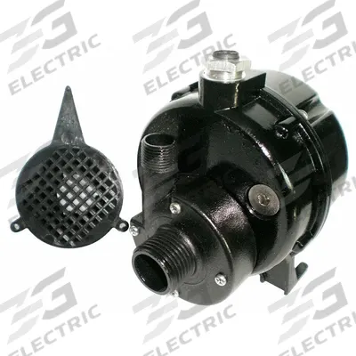 Dayton Centrifugal Pump: 115V AC, 8.1 ft Max Head, 3/4 in - Oil-Filled Submersible Centrifugal Pumps