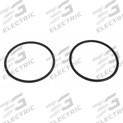 DAYTON O-Ring For Cylinder Head: Fits Dayton Brand, For PPTWA318G - Pumps Parts