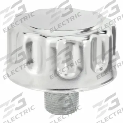 BUYERS PRODUCTS Vent Plug: 40 micron Filter, Steel, 3/4", NPT, Gen Duty Design - Filter Breather Vents