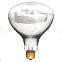 SHAT-R-SHIELD Incandescent Bulb: Incandescent, BR40, Medium Screw (E26), 125 W Watt, 2700K, Clear (MPN 125BR40/1). Key specifications — Bulb Finish: Clear; Color Temperature: 2700K; Shatter-Resistant: Yes; Brand: SHAT-R-SHIELD; Voltage: 120V AC; Bulb Shape: BR40.