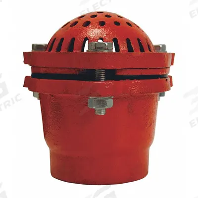 DIXON VALVE & COUPLING Foot Valve: Cast Iron, 6 in Pipe Size, Pumps - Foot Valves