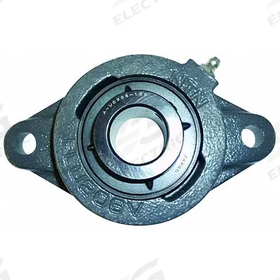 NTN 2 Bolt Flange Bearing: Radial Ball, 2 in Bore, Cast Iron, Set Screws - General Purpose Flange-Mount Ball Bearings