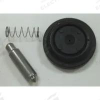 BRADLEY Repair Kit, AST4 Valve, Lower: Rubber/Stainless Steel, Armature/Diaphragm/Spring (MPN S65-262). Key specifications — Material: Stainless Steel; Includes: Armature; Brand: BRADLEY; Product Type: Repair Kit, AST4 Valve, Lower.