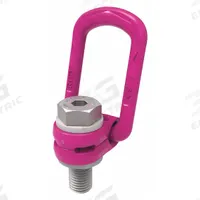 RUD CHAIN Hoist Ring: Pivot/Swivel, Steel w/Pink Powder-Coated Bail, M30-6.7, Max. 14,770 lb (MPN 8504661). Key specifications — Brand: RUD CHAIN; Thread Size: M30-6.7; Operation: Lifting.