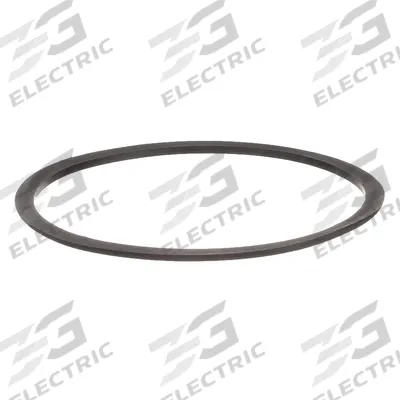 BINKS Paint Tank Gasket: 2 gal Compatible Container Size - Gaskets for Paint Tanks