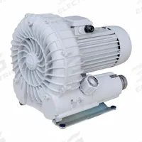 SCHMALZ Vacuum Blower: 230 cu m/hr, 60 mm, 1 1/2 in G Female, 10.04.01.00071, SB, 6.9/3.45/6.85 A. Key specifications — attr123938: 10.04.01.00071; attr1014957: 230/460V; attr1014966: 6.9/3.45/6.85 A.