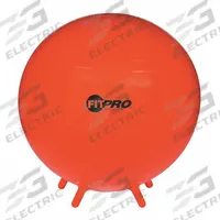 CHAMPION SPORTS Exercise Ball: 29.53 in Overall Dia, Red, For 73 in and Up User Ht (MPN BL75). Key specifications — attr989250: 73 in and Up; attr989247: Red; attr991485: CHAMPION SPORTS.