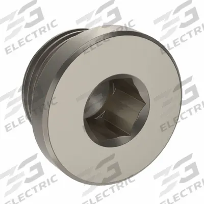 LEGRIS Plug: Hex Drive Cored Plug, 3/4 in, BSPP Threaded, Nickel-Plated Brass - Threaded Medium-Pressure Pipe Fittings