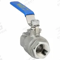 APPROVED VENDOR Manual Two-Way Ball Valve: 1 in, 316 Stainless Steel, Straight Valve Body, Two-Piece (MPN G-SSV-100NLH). Key specifications — Brand: APPROVED VENDOR; Handle: Lever.