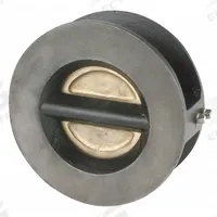 SSI Double Disc Check Valve: Double Disc, Inline Valve Body, 4 in Pipe Size, Wafer, Wafer, Wafer (MPN 0400-300WTTTM-T). Key specifications — Seat Material: CF8M Stainless Steel; Brand: SSI.