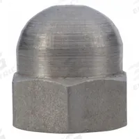 DAYTON Low Crown Acorn Nut: For 2ZWZ6-2ZXA8/2ZXJ1-K3/2ZXL7-R7 (MPN PPL3601G)