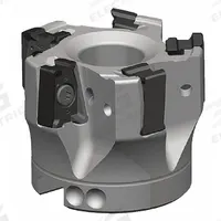 WIDIA Indexable Face Mill: VSM490D300Z09S100XN15 (MPN 5873105). Key specifications — attr256955: VSM490D300Z09S100XN15.
