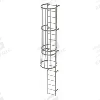 TRI-ARC Fixed Ladder with Safety Cage: 17 ft Overall Ht, 18 in Overall Wd, Steel, 18 Rungs (MPN WLFC1118). Key specifications — Brand: TRI-ARC; Assembly: Unassembled; Number of Sections: 2.