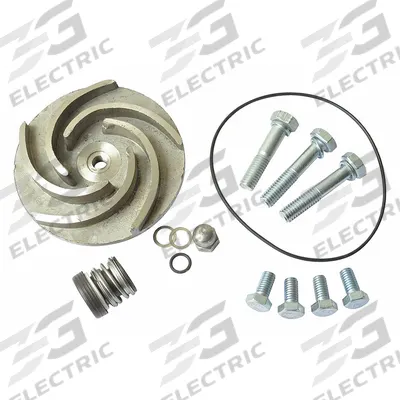 Dayton Repair Kit: Mfr Part # 21TG73 - Seal Kits & Gaskets for Straight Centrifugal Pumps