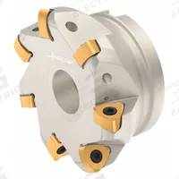 WALTER Indexable Face Mill: F4030.B32.100.Z07.02 (MPN 5882907). Key specifications — attr256955: F4030.B32.100.Z07.02.