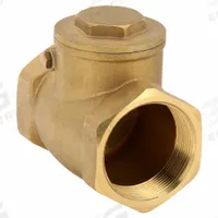 APPROVED VENDOR Swing Check Valve: Swing, Inline Valve Body, 2 in Pipe Size, FNPT x FNPT, Brass, Std (MPN 10F327). Key specifications — Brand: APPROVED VENDOR.
