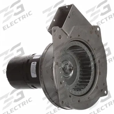 FASCO Blower: Furnace, Goodman, 7021-8656 - Furnace Draft Inducers