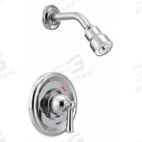 CFG Shower Faucet: Capstone, 2.5 gpm Fixed Showerhead Flow Rate, Brass, Chrome Finish, 1 Handles (MPN T41315C). Key specifications — Showerhead Material: Brass; Series: Capstone.