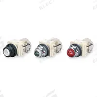 SCHNEIDER ELECTRIC Pilot Light: 30 mm Panel Mounting Size, Red, Incandescent, 9001K Series (MPN 9001KT1R9). Key specifications — Series: 9001K; Brand: SCHNEIDER; Includes Push-To-Test: Push-To-Test Included.