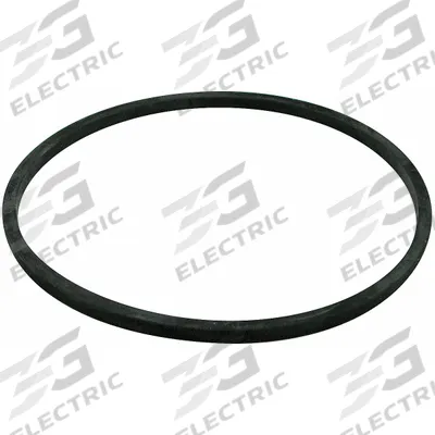 BALDWIN FILTERS Gasket: Hydraulic Filter, Gasket, Buna-N, 1/4 in Lg - Hydraulic Filter Accessories