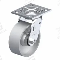 APPROVED VENDOR Plate Caster: Swivel, No Brake, Iron, 5 in Wheel Dia, 2 in Wheel Wd, Slot, Rectangle (MPN P21S-D050R-14). Key specifications — Wheel Bearing Type: Roller; Brand: APPROVED VENDOR; Caster Type: Swivel.
