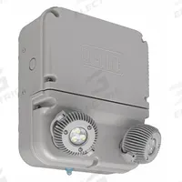 LED Emergency Light: 12 W Lamp Watt, 24 W Emergency Watt, 120V AC, 2 Lamp Heads, Plastic, Surface (MPN DYN12I-4X-06L). Key specifications — Input Voltage: 120V AC; Housing Material: Plastic; Mounting Type: Surface; Housing Color: Gray; Lighting Technology: LED; CA Title 20 Compliant: Yes; Environmental Rating: Wet Location Rated; Remote Capable: Yes.