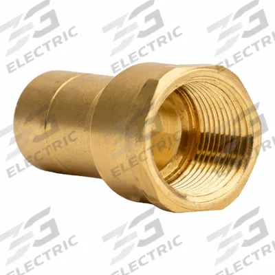 APPROVED VENDOR Adapter: 3/4 in OD x 3/4 in Pipe Size, Tube x FNPT - Standard Brass Push-to-Connect Tube Fittings