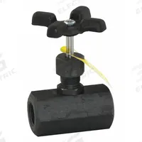 APOLLO Globe Valve: For Air/Fluids/Gas Media, Carbon Steel, Z-Body, 1/4 in Pipe Size, FNPT x FNPT (MPN 60B10124). Key specifications — Brand: APOLLO; Stem: Rising.