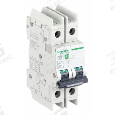 SCHNEIDER Miniature Circuit Breaker: 45 A Amps, 14kA at 120/240V AC, Screw Clamp - C-Curve, 2-Pole UL489 DIN Rail-Mount Miniature Circuit Breakers
