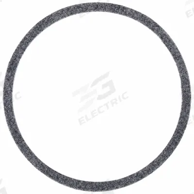 ARMSTRONG Gasket: for In-Line Circulating Pumps, Mfr Part # 104442-000 - Body & Casing Gaskets
