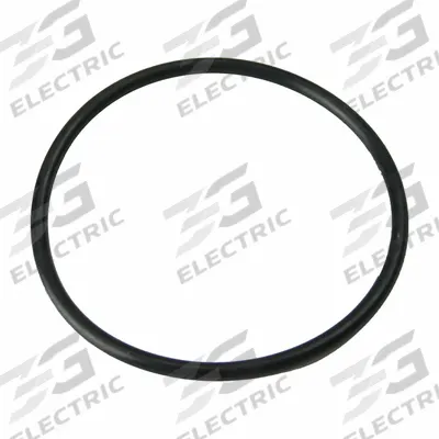 CHAPIN Gasket Lid: Handheld Sprayer, 6-2446 - Assorted Parts & Accessories